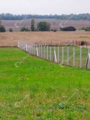 Eladó telek, Székesfehérvárott 49.5 M Ft / költözzbe.hu