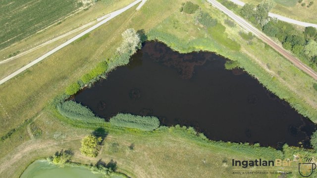 Eladó családi ház, Fehérgyarmaton 210 M Ft, 2 szobás