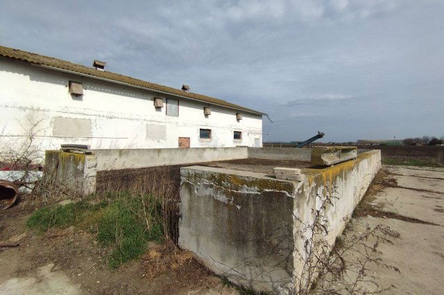 Eladó ipari ingatlan, Szabadkígyóson 135 M Ft