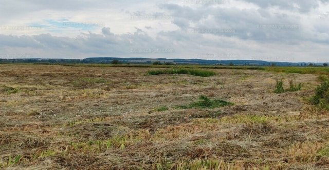 Eladó mezogazdasagi ingatlan, Sármelléken 99 M Ft