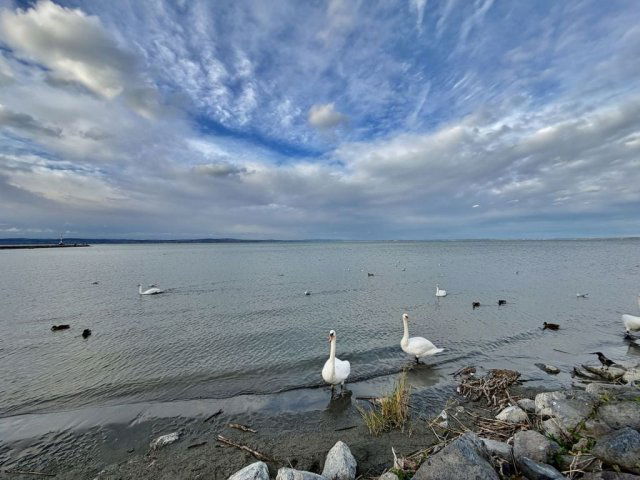Eladó sorház, Siófokon 57.9 M Ft, 4 szobás