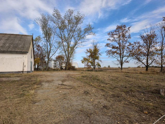 Eladó telek, Pakson 55 M Ft / költözzbe.hu