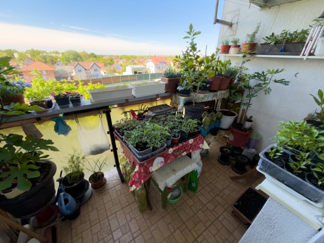 Eladó téglalakás, XIX. kerületben, Vas Gereben utcában