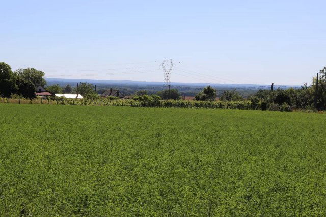 Eladó nyaraló, Galambokon 17.46 M Ft, 2 szobás