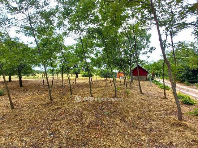 Eladó nyaraló, Csongrádon 2 M Ft, 1 szobás