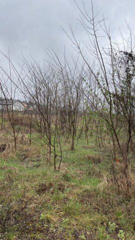 Eladó telek, Szadán 59.9 M Ft / költözzbe.hu