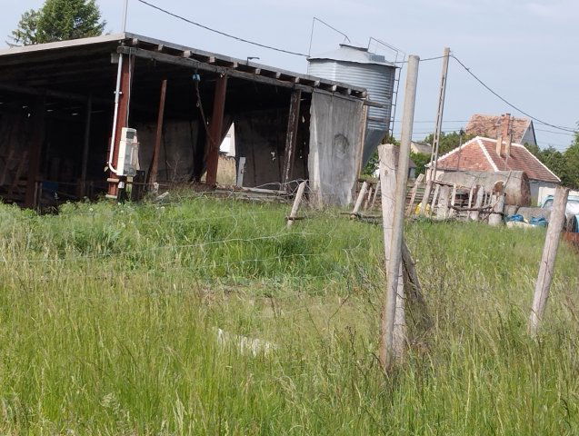 Eladó mezogazdasagi ingatlan, Banán 4.8 M Ft