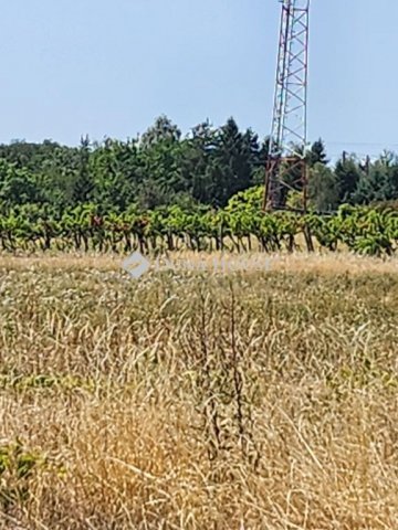 Eladó telek, Sopronban 15.66 M Ft / költözzbe.hu