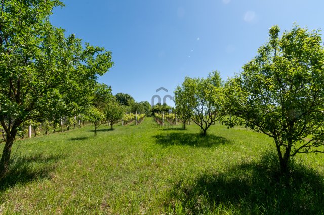 Eladó családi ház, Dégen 12.9 M Ft, 3 szobás