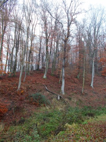 Eladó mezogazdasagi ingatlan, Rinyakovácsin 45 M Ft