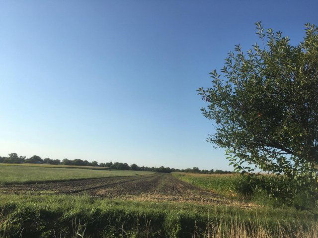 Eladó telek, Győrött 5 M Ft / költözzbe.hu