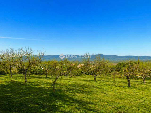 Eladó telek, Vácon, Présház utcában 61 M Ft