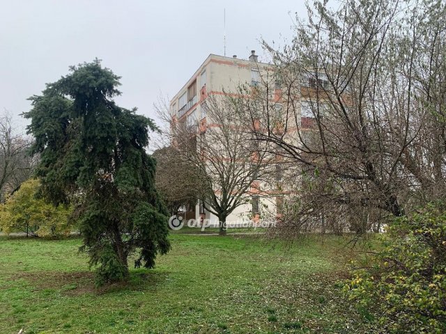 Eladó panellakás, Törökszentmiklóson 16.5 M Ft, 1 szobás