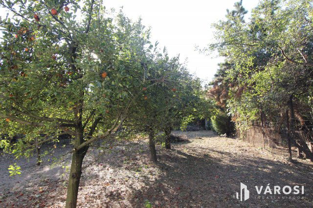 Eladó telek, Hódmezővásárhelyen 12.5 M Ft