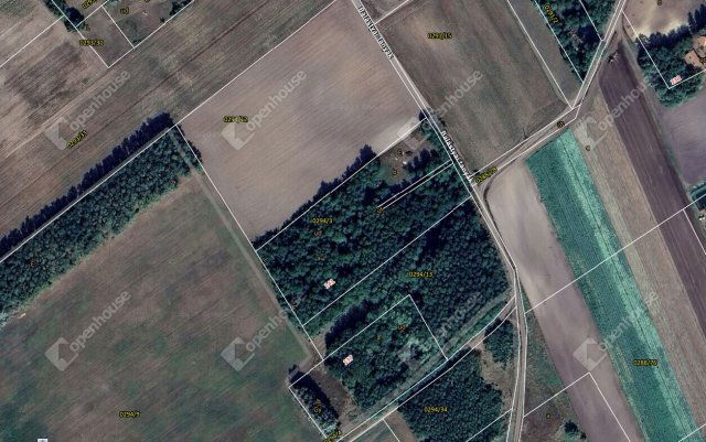 Eladó mezogazdasagi ingatlan, Balástyán 3.5 M Ft
