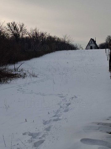 Eladó mezogazdasagi ingatlan, Balatonalmádiban 15 M Ft