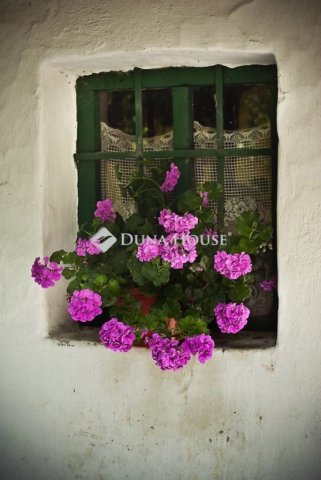 Eladó ipari ingatlan, Monoron 810 M Ft / költözzbe.hu