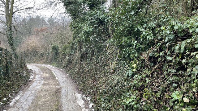 Eladó mezogazdasagi ingatlan, Nyúlon 19.5 M Ft