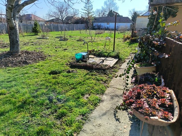 Eladó családi ház, Törtelen 40 M Ft, 2 szobás