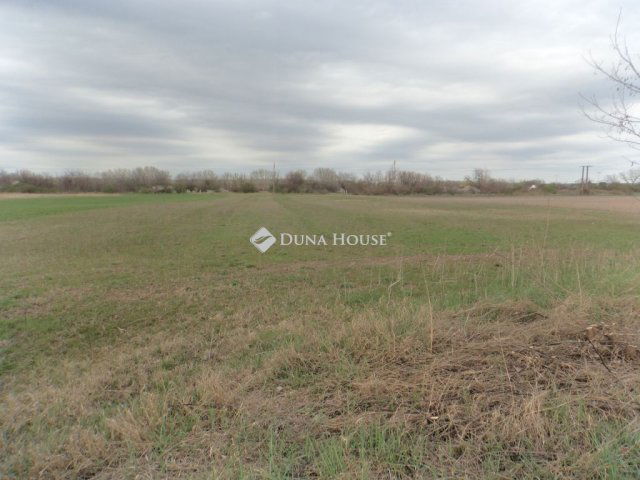 Eladó telek, Pilisen 17 M Ft / költözzbe.hu