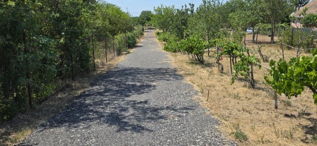 Eladó családi ház, Tárnokon 155 M Ft, 2 szobás
