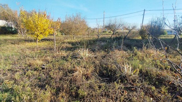 Eladó telek, Szolnokon 26 M Ft / költözzbe.hu