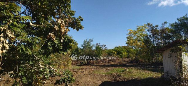 Eladó családi ház, Tápióbicskén 12.5 M Ft, 2 szobás