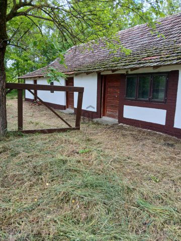 Eladó mezogazdasagi ingatlan, Ásotthalmán 6.5 M Ft