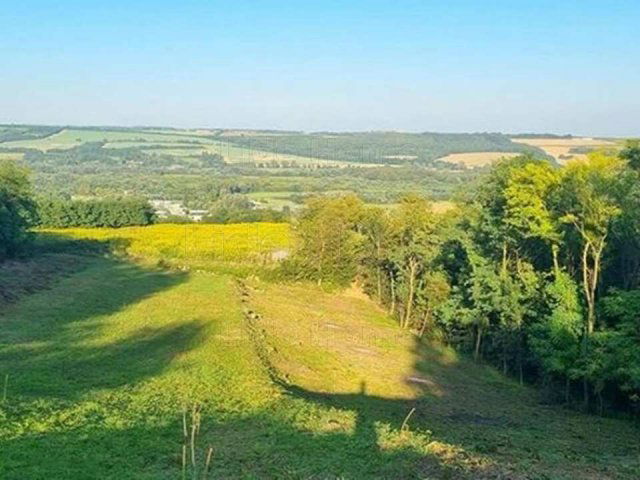 Eladó mezogazdasagi ingatlan, Zalacsányon 28.99 M Ft