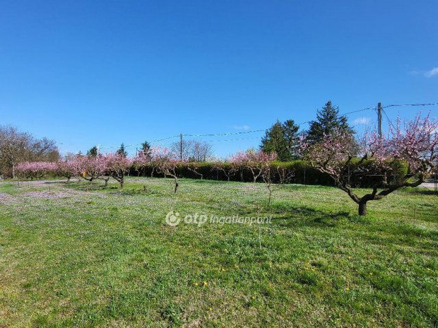 Eladó telek, Siófokon 127 M Ft / költözzbe.hu