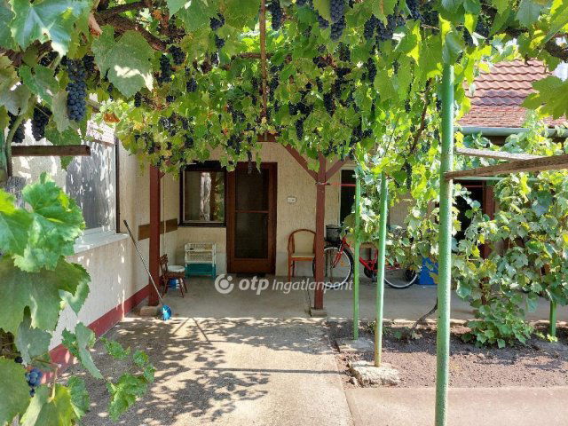 Eladó családi ház, Jászberényben 46 M Ft, 3 szobás