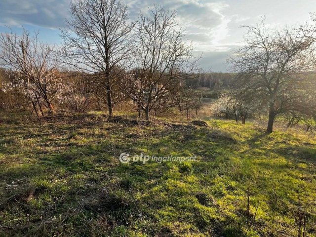 Eladó telek, Martonvásáron 16 M Ft / költözzbe.hu