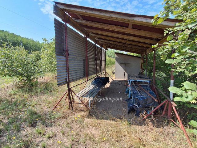 Eladó mezogazdasagi ingatlan, Cegléden 99.99 M Ft