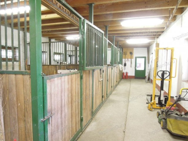 Eladó mezogazdasagi ingatlan, Lajosmizsén 307.5 M Ft