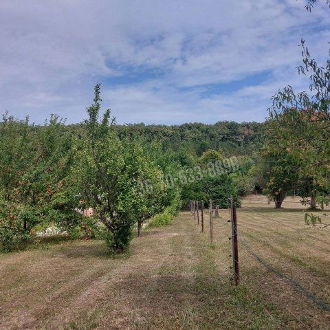 Eladó telek, Balatongyörökön 28 M Ft / költözzbe.hu