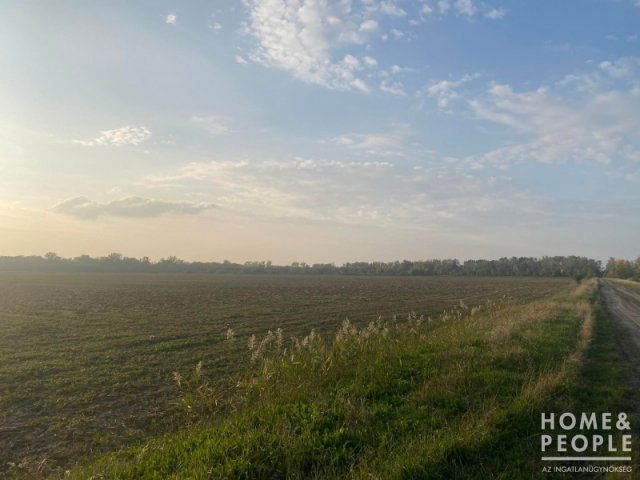 Eladó mezogazdasagi ingatlan, Hódmezővásárhelyen 67.99 M Ft