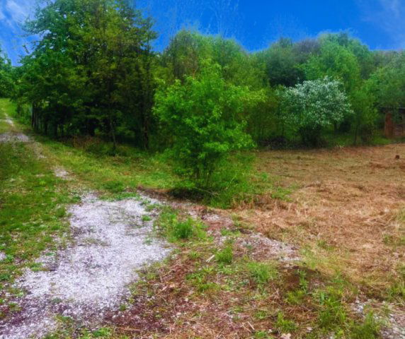 Eladó telek, Miskolcon 2.9 M Ft / költözzbe.hu