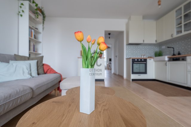 Eladó téglalakás, Budapesten, XI. kerületben 175 M Ft, 3 szobás