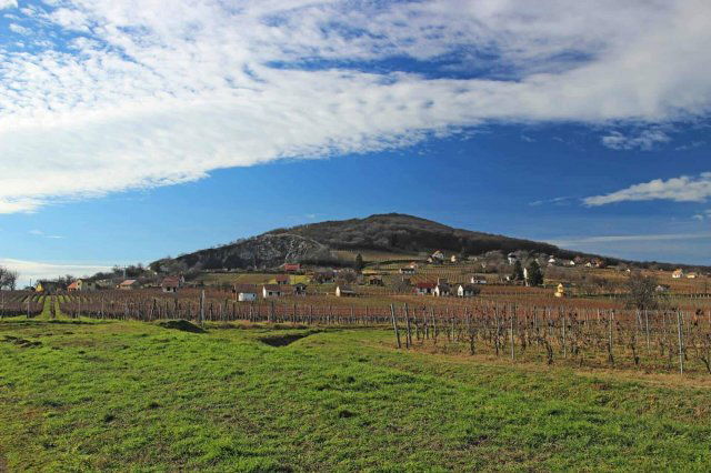 Eladó telek, Villányban 13.938 M Ft / költözzbe.hu