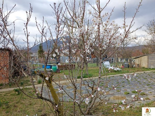 Eladó családi ház, Pilisszántón 94.9 M Ft, 5 szobás