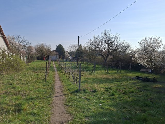 Eladó családi ház, Budapesten, XXI. kerületben 32 M Ft, 1 szobás