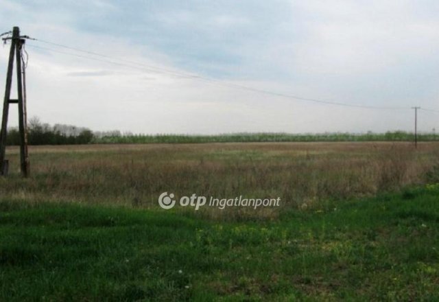 Eladó telek, Röszkén 100 M Ft / költözzbe.hu