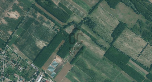 Eladó mezogazdasagi ingatlan, Dánszentmiklóson 3.9 M Ft