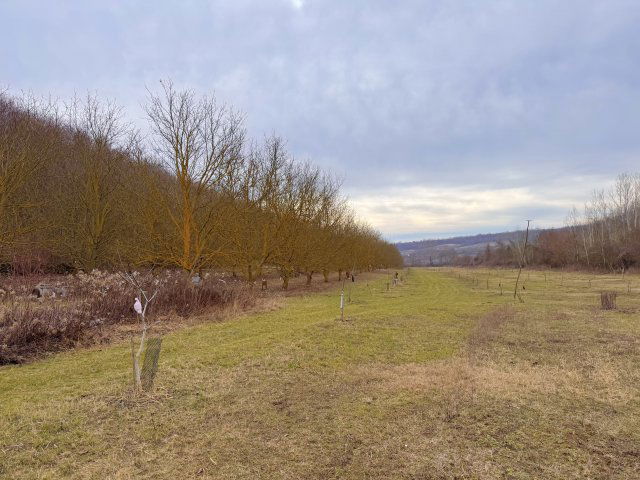 Eladó mezogazdasagi ingatlan, Bátaszéken 18 M Ft