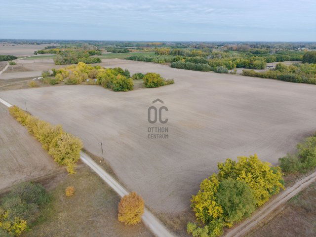 Eladó családi ház, Balástyán 42 M Ft, 4 szobás