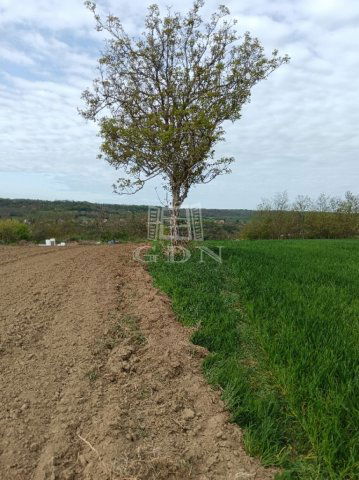 Eladó mezogazdasagi ingatlan, Balatonendréden 5.2 M Ft