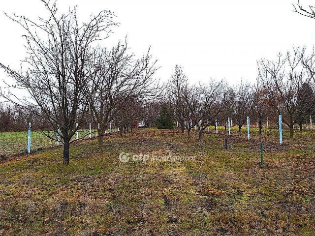 Eladó telek, Békésszentandráson 17.5 M Ft / költözzbe.hu