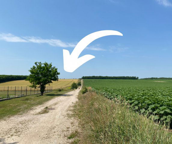 Eladó ipari ingatlan, Pusztazámoron 59.999 M Ft
