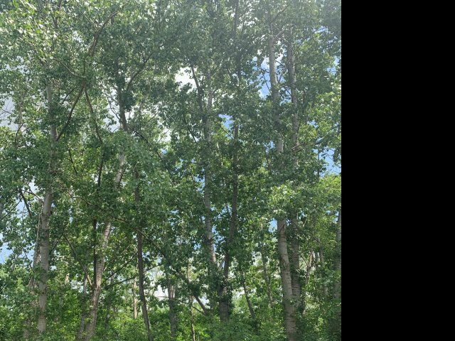 Eladó mezogazdasagi ingatlan, Budapesten, XVII. kerületben 4.9 M Ft