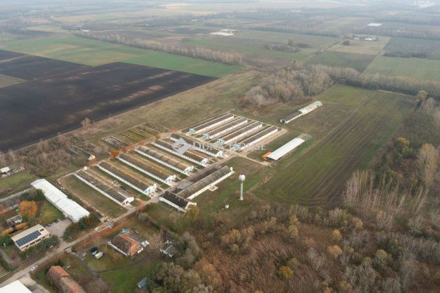 Eladó ipari ingatlan, Tiszaalpáron 550 M Ft / költözzbe.hu